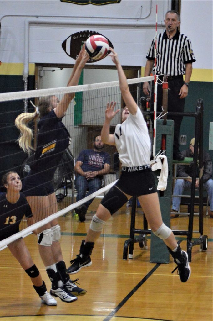 Lady Gators top Carmichaels in 2A volleyball showdown HeraldStandard